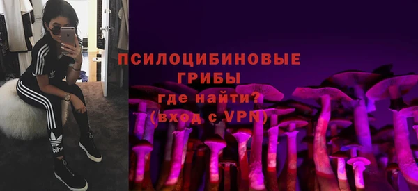 прущие крисы Дмитриев