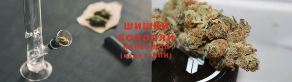 ECSTASY Дмитровск