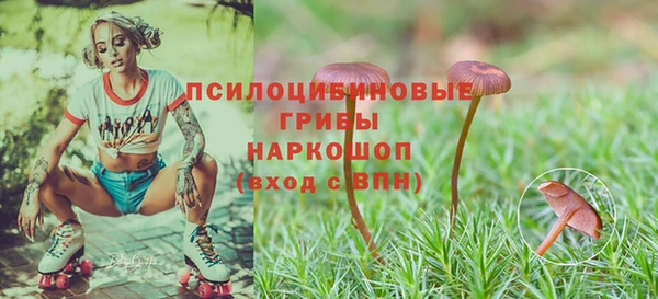 прущая мука Гусь-Хрустальный